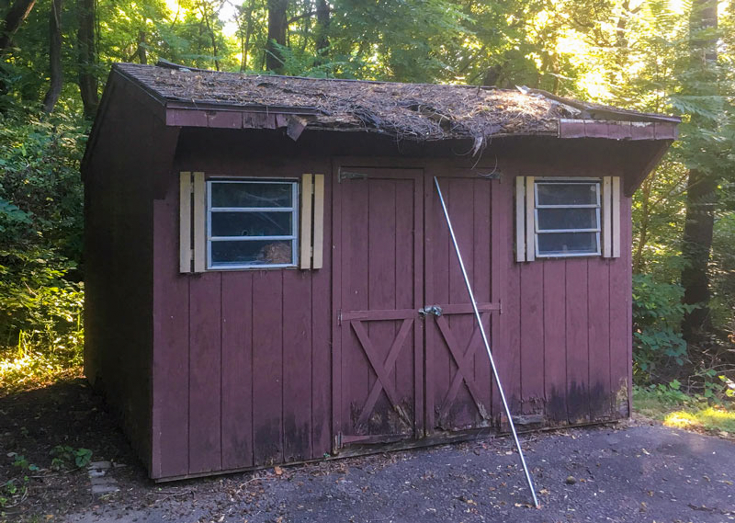 Shed Repair Cost In Chester Pa