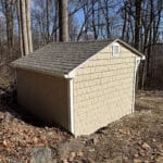 David-Malamed-after3 (1)