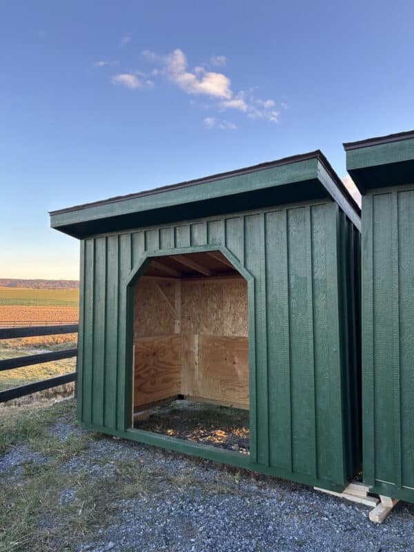 6x10 Brand New Run-In Shed